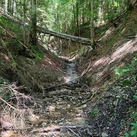 Sägemühle Eschachthal