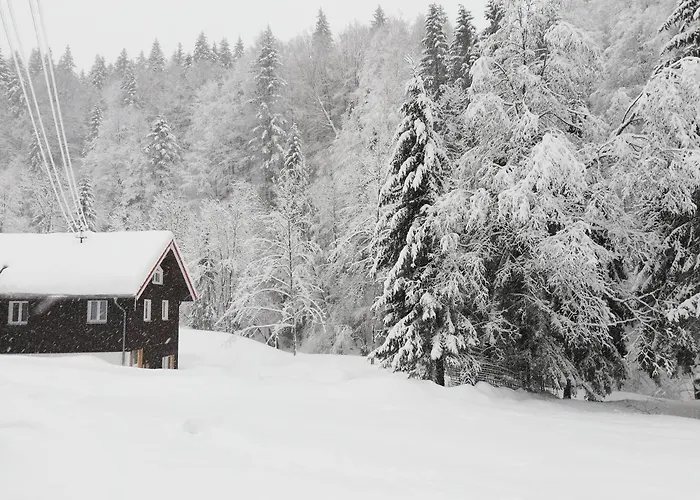 Saegemuehle Eschachthal Buchenberg (Bavaria)